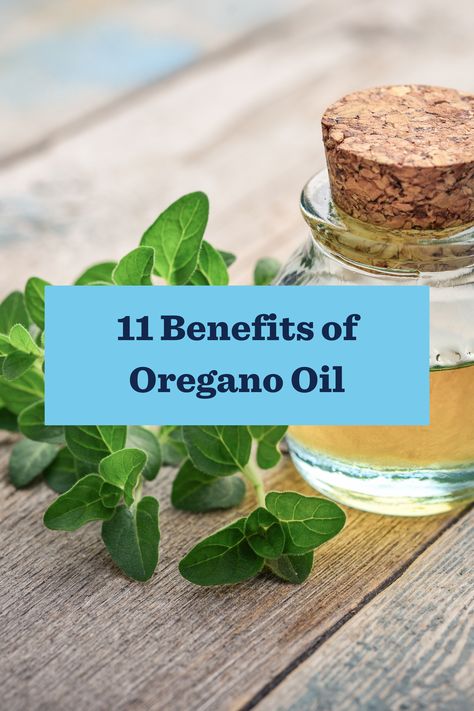 Health Benefits Of Oregano Oil, Benefits Of Oregano, Oregano Oil Benefits, Natural Grocers, Oregano Essential Oil, Oregano Oil, Natural Antibiotics, Holistic Remedies, Bone Density