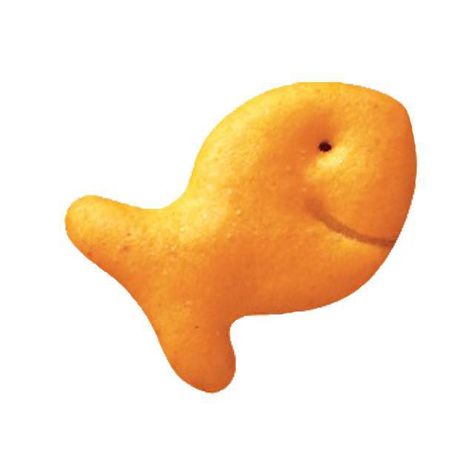 Pepperidge Farm recalls 4 types of Goldfish crackers over salmonella risk – WPIX 11 New York Goldfish Snack Drawing, Goldfish Cracker Tattoo, Types Of Goldfish, Womb Tattoo, Goldfish Snack, Fish Nuggets, Goldfish Types, Goldfish Food, Fish Snacks