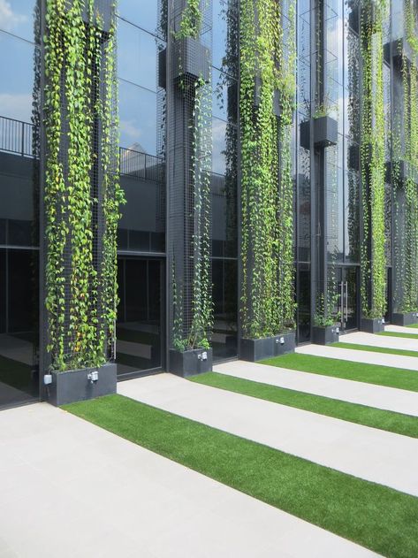 Green Facade Architecture, Green Wall Facade, Vertical Green Wall, Green Wall Design, Green Facade, Green Architecture, Patio Landscaping, Building Facade, Architecture Exterior