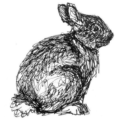 Rabbit Nursery Art, Illustration Rabbit, Cottontail Rabbit, Bunny Sketches, Bunny Illustration, Illustration Black And White, Drawing Black And White, Scribble Drawing, Rabbit Drawing