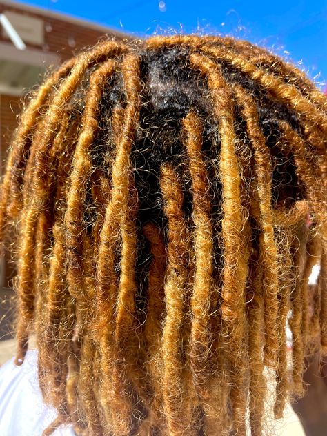 Budding Phase Locs, Budding Locs, Mens Locs, Loc Goddess, Cute Dreads, Beautiful Locs, Going Natural, Hairstyles Ideas, Pretty Hair