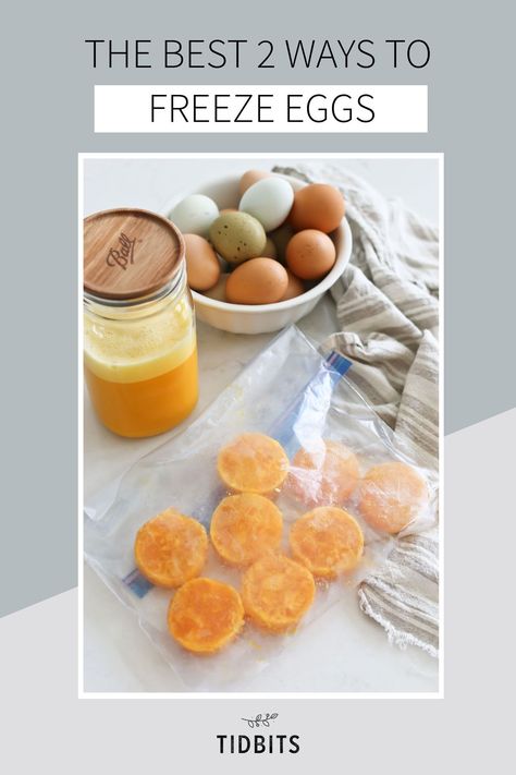 Never run out of eggs again! Learn the 2 best ways to freeze eggs for food preservation and why you should keep eggs in your freezer. Freeze Eggs, Preserving Eggs, Egg Yoke, Freezing Eggs, Liquid Eggs, Farm Eggs, Harvest Recipes, Fall Soups, Food Preservation