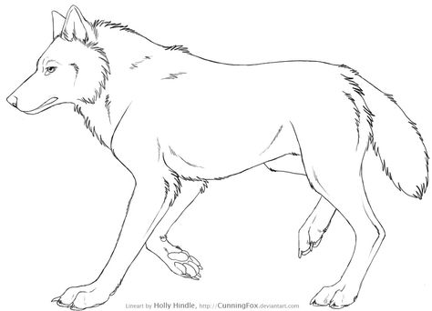 Free Wolf Lineart - Side view by Bear-hybrid on DeviantArt Wolf Lineart, Wolf Sketches, Wolf Base, Side View Drawing, Wolf Drawings, Wolf Sketch, Animal Templates, Wolf Photos, Wolf Drawing