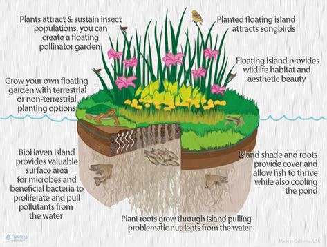 Floating Islands, Plant Insects, Floating Garden, Floating Island, Natural Pond, Pond Plants, Aquaponics System, Pollinator Garden, Wildlife Habitat