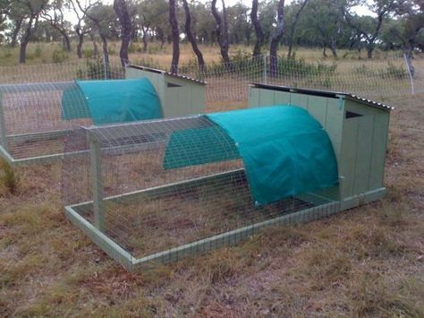 Portable Chicken Coop, Chicken Pen, Chicken Tractors, Chicken Tractor, Chicken Run, Best Chicken Coop, Chicken Cages, Chicken Coop Designs, Keeping Chickens