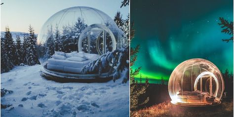 PHOTOS: You can sleep a see-through bubble in Iceland, watch Northern Lights - Insider Northern Lights Hotel, Bubble Hotel, Ice Land, Thingvellir National Park, Northern Light, Wild Forest, Midnight Sun, The Northern Lights, Travel Inspo