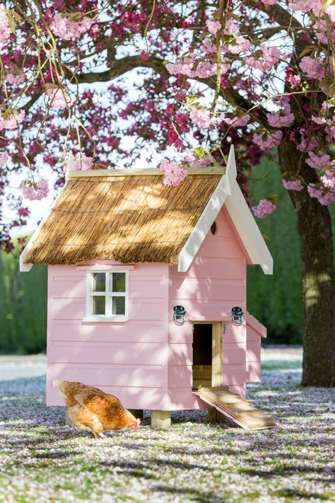 Chicken Coop Paint Ideas, Colorful Chicken Coop, Pink Chicken Coop, Painted Chicken Coop, Chicken House Ideas, Chicken Coop Blueprints, Cute Chicken Coops, Chicken Coop Garden, Chicken Pen