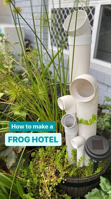 Frog Hotel Pvc Pipe, Diy Frog Hotel, Frog Hotel Ideas, Frog Sanctuary, Frog Hotel, Rotala Rotundifolia, Ecosystem Restoration, Frog Habitat, Garden Retaining Wall