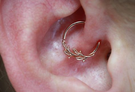 Daith w/ Amity in 14k rose gold by @bvla #appmember #safepiercing #bvla #bodyvision #daith #daithpiercing #slo #saluisobispo #piercing #rosegoldjewelry #bestofslo #slocounty #slopiercing #slopiercer #piercing Daith Piercing Jewelry Sun, Daith Earrings Silver, Moon Daith Piercing, Gold Daith Piercing, Ear Piercing Ideas Daith, Daith Piercing Ideas, Heart Daith Piercing, Rose Gold Piercing, Bridgerton Oc