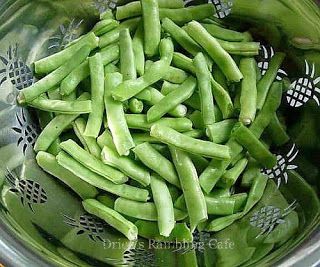 Southern Green Bean Recipes, Southern Green Beans, Green Bean Recipe, Bean Recipe, Pole Beans, Low Carb Side Dishes, Green Bean Recipes, Country Cooking, Veggie Side Dishes