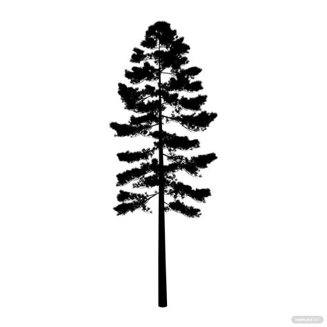 Free Ponderosa Pine Tree Silhouette Ponderosa Pine Drawing, Ponderosa Pine Tattoo, Tree Silhouette Art, Pine Silhouette, Ponderosa Pine Tree, Tree Silhouette Tattoo, Pine Tattoo, Pine Tree Drawing, Pine Tree Silhouette