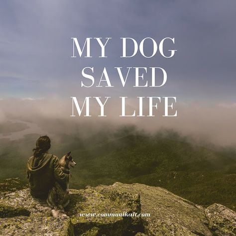 Of course my dog is my best friend, but I never realized she would save my life. More on CommuniKait: How My Dog Saved My Life Pets Quotes, Save Me Quotes, Pet Quotes, Dog Poems, Dog Lover Quotes, Dog Man, Therapy Quotes, Dog Loss, Therapy Dog