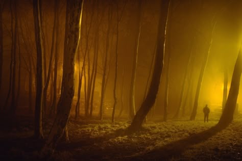 Yellow Forest, Pitch Dark, Photography Series, Night Forest, Foto Art, Dark Places, Yellow Aesthetic, Cinematic Photography, Dark Yellow