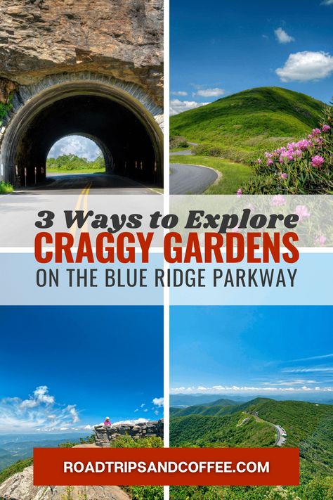 Did you know there are three ways to explore Craggy Gardens on the Blue Ridge Parkway in North Carolina? Stop by the visitor center for an easy view, hike the gentle Craggy Knob Trail, or take the more vigorous hike along the Craggy Pinnacle Trail. #blueridgeparkway #nationalpark #nationalparkservice #nps #asheville #northcarolina #outdoor #recreation #hike #hiking #craggygardens #travel #GoForaDrive Craggy Gardens North Carolina, Blue Ridge Parkway North Carolina, Craggy Gardens, North Carolina Travel, Shenandoah National Park, Road Trip Adventure, Blue Ridge Parkway, National Parks Trip, Visitor Center