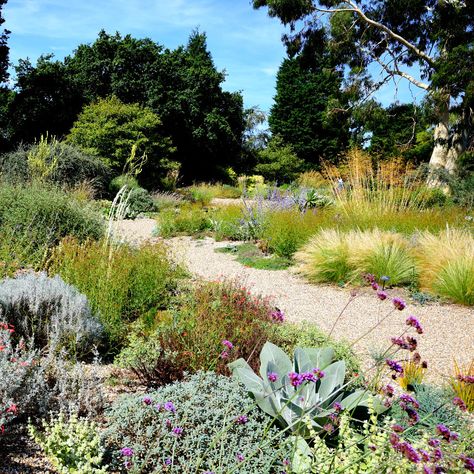 Beth Chatto Garden, Beth Chatto, Gravel Landscaping, Garden Site, California Garden, Dry Garden, London Garden, Gravel Garden, Sloped Garden