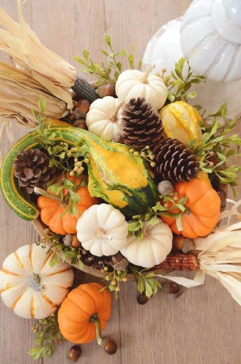 Make this easy and pretty fall dough bowl! Step-by-step directions and lots of ideas and tips. #fall, #fallhomedecor #falldiy #falldecorations #falldecor #pumpkins #indiancorn #fallgourds Dough Bowl Centerpiece, Indian Corn, Fall Arrangements, Autumn Decorating, Dough Bowl, Fabulous Fall, Beautiful Centerpieces, Fall Centerpiece, Fall Table