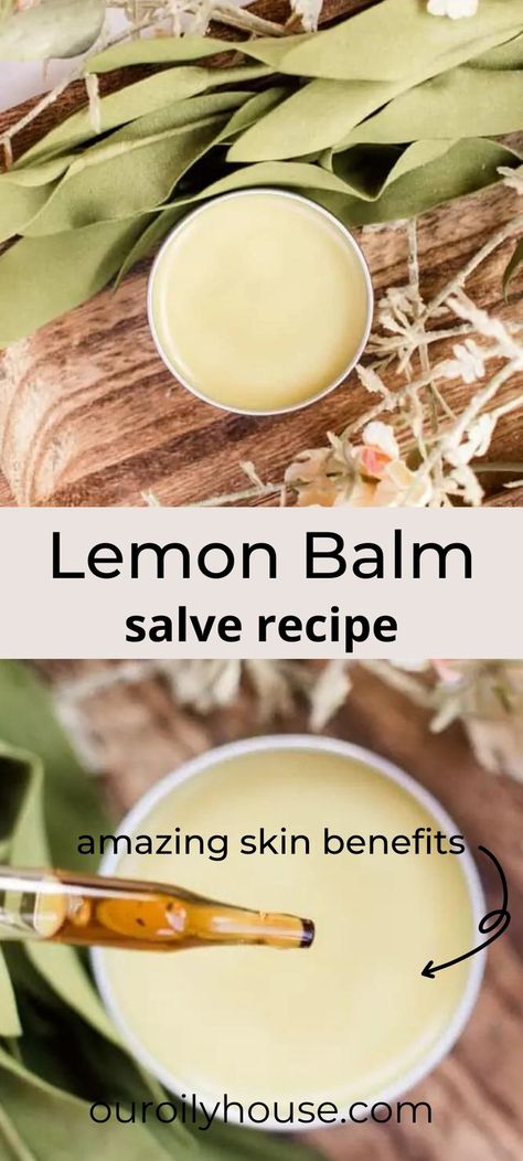 Kawakawa Balm Recipe, Dried Lemon Balm Uses, Lemon Balm Salve Recipe, Kawakawa Balm, Lemon Balm Salve, Lemon Balm Benefits, Lemon Balm Uses, Lemon Balm Oil, Lemon Balm Recipes