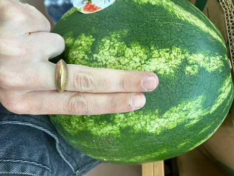 How to Pick the Best Watermelon Using the “Two-Finger” Rule | The Kitchn Watermelon Picking, Pick Watermelon, Picking Watermelon, Watermelon Hacks, Watermelon Uses, Best Watermelon, Ripe Watermelon, Sweet Interior, Fruit Ideas