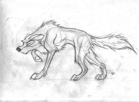 Balto Drawing, Traditional Tattoo Dragon, Balto And Jenna, Husky Drawing, Wolf Sketch, Cat Drawing Tutorial, Wolf Character, Disney Art Drawings, Animation Sketches