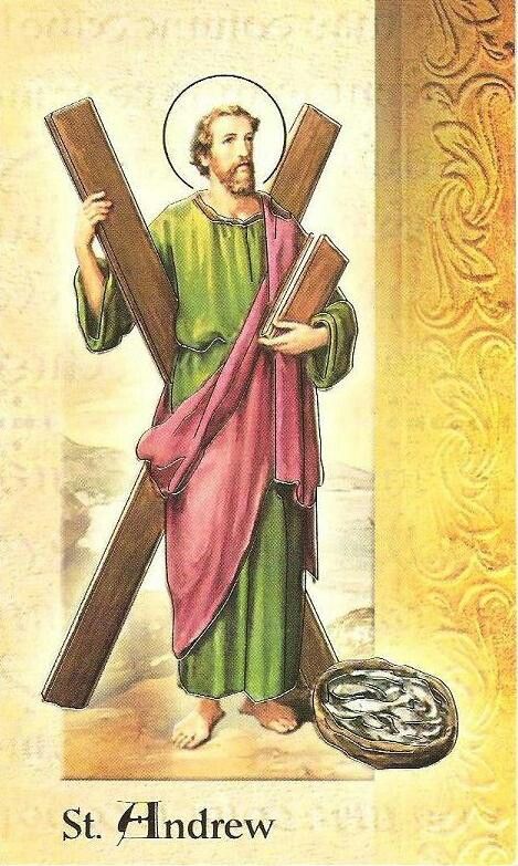 St.Andrew St Andrew The Apostle, Andrew The Apostle, Saint Andrew, The Lamb Of God, Catholic Beliefs, Novena Prayers, Lamb Of God, St Andrew, Catholic Family