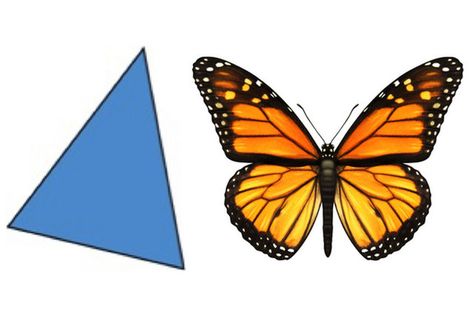 An isosceles triangle and a butterfly are examples of objects that exhibit reflective symmetry. Objects in 2-D have a line of symmetry; objects in 3-D have a plane of symmetry. They are invariant under reflection. Reflective Symmetry, Line Of Symmetry, Symmetry Worksheets, Isosceles Triangle, 6th Grade Art, A Plane, A Butterfly, Creative Inspiration, Designs To Draw