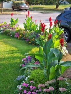 Zuppa Toscana Soup Olive Garden, Small Garden Landscape, Small Front Yard Landscaping, Small Front Yard, Front Yard Design, Landscape Plans, Front Yard Garden, Landscaping Tips, Side Yard