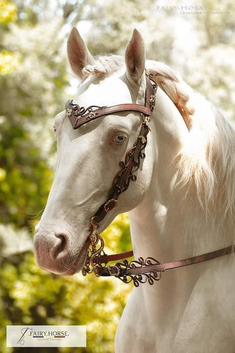 Beautiful Horse Tack, Fantasy Saddle, Fantasy Horse Tack, Elegant Horse, Horse Costumes, Horse Armor, Horse Dress, Horse Inspiration, Fantasy Horses