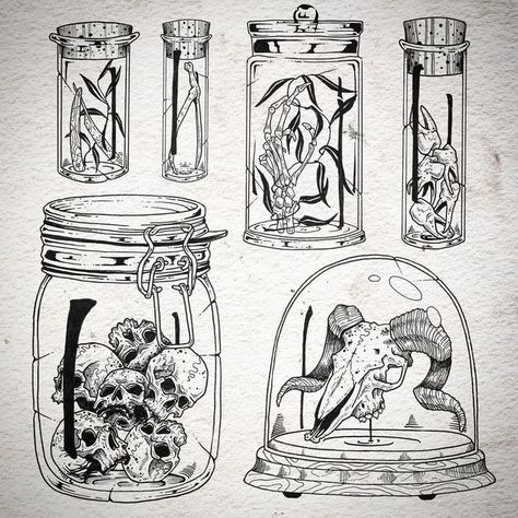 Snake In A Jar Tattoo, Things In Jars Drawing, Specimen Jar Tattoo, Glass Dome Tattoo, Jar Drawing Illustration, Jar Art Drawing, Spell Jar Tattoo, Jars Tattoo, Jar Tattoo Design