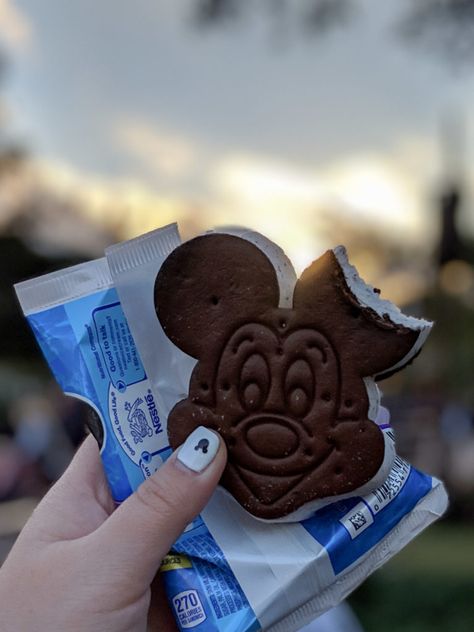 Mickey Ice Cream Sandwich, Foods At Disney World, Disney Ice Cream, Park Snacks, Ice Cream World, Geek Charming, Mickey Ice Cream, Disney Foods, Disney Desserts