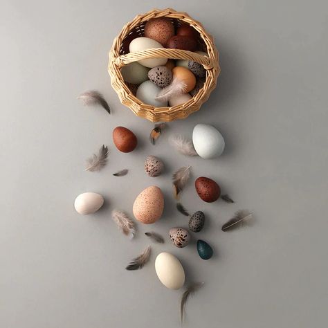 This beautiful wooden toy set is perfect for little hands to hold, roll, count and put in and out of the basket. Sort them by sizes and observe the lovely colours and speckles. 12 wooden eggs of different sizes are lathe turned in solid beech wood and beautifully handpainted in Germany. Use them as sensory toy, for ima Types Of Eggs, Eggs In A Basket, Berlin Design, Vitra Design Museum, Farm Eggs, Eco Friendly Paint, Bird Eggs, Egg Basket, Wooden Eggs