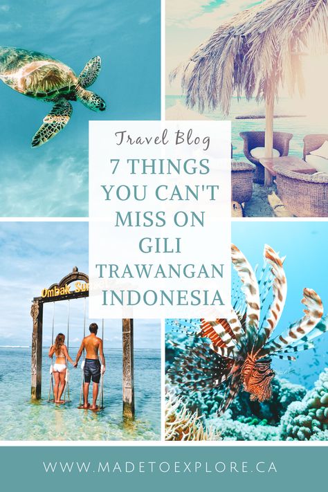 Gili T, Trip To Bali, Gili Islands, Bali Trip, Travel Bali, Bali Lombok, Bali Vacation, Amazing Beaches, Bali Travel Guide