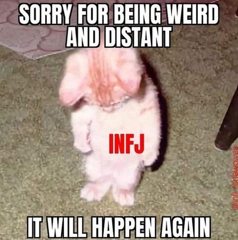 Infj Girl, Sorry But Not Sorry, Infj Personality Facts, Infj And Entp, Enfp And Infj, Infj Traits, Infj Humor, Infj Problems, Infj Psychology