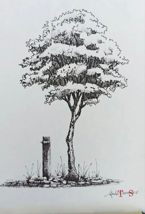 Detailed Tree Drawing, Tree Pencil Sketch, Sketches Landscape, Pencil Sketches Landscape, Odyssey Art, Landscape Sketches, Pencils Drawings, Art Buildings, Aesthetics Art