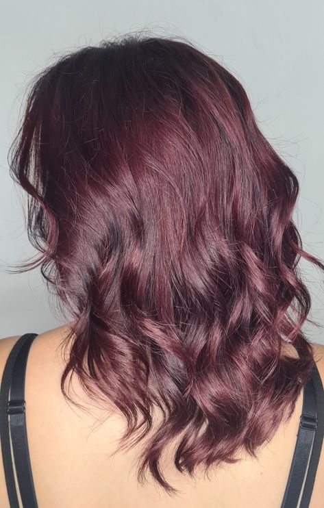 Red Hair With Purple, Hair With Purple, Red Purple Hair, Hair Color Idea, Dark Red Hair Color, Red Hair Inspo, Dark Red Hair, Red Hair Color, 8th Grade