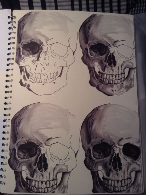 Colourful Skull Art, Skeleton Art Gcse, Skulls Gcse Art, Gcse Art Tone Page, Tone Art Gcse, Tone Gcse Art Page, Final Ideas Art Gcse, Decay Art Gcse, Objects Art Gcse