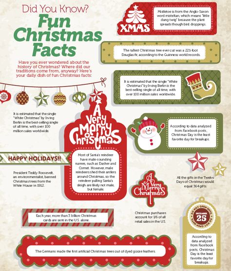 Fun Christmas Facts Store Christmas Lights, Christmas Lights Storage, Christmas Fun Facts, Christmas Facts, Christmas Infographic, Christmas Lesson, Christmas Trivia, Christmas Worksheets, Facts For Kids