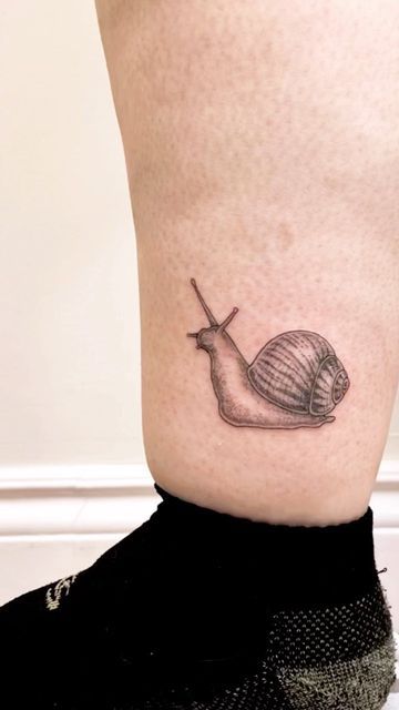 Snail Line Tattoo, Garden Snail Tattoo, Slow Down Your Doing Fine Tattoo, Meow Tattoo, Fine Tattoo, Snail Tattoo, Wildlife Tattoo, Garden Tattoos, Snails In Garden