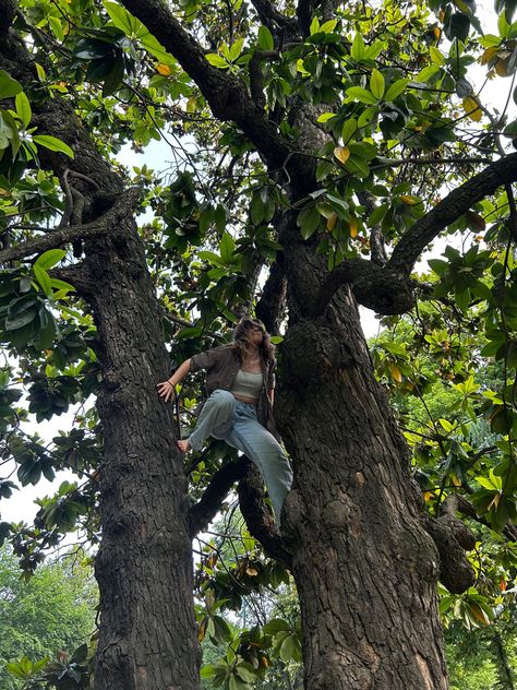 Lana Core, Climbing A Tree, Tree Climbing, Tree Spirit, Tree Pose, Boring Life, Outdoor Climbing, Great Life, True Nature