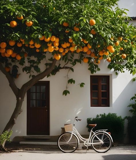 Simplistic Wallpaper, Penanda Buku, Fotografi Vintage, Pretty Landscapes, Orange Tree, Foto Ideas Instagram, Alam Yang Indah, Beautiful Buildings, Nature Aesthetic