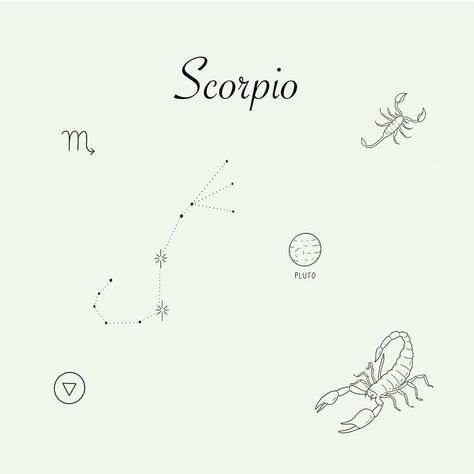 Scorpio Celestial Tattoo, Scorpio Tiny Tattoo, Dainty Scorpio Tattoo, Scorpio Fine Line Tattoo, Small Tattoos Scorpio, Scorpio Hand Tattoo, Scorpio Astrology Tattoo, Scorpio Tattoo Zodiac, Constellation Scorpion