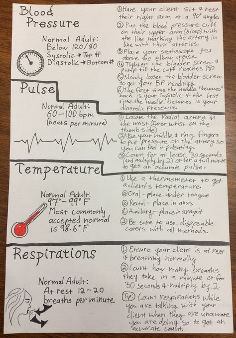 Assignment 4.3: the four vital signs that ought to be checked at a prenatal appointment. Medical Assistant Vital Signs, Taking Vitals Signs, Anesthesiologist Notes, Vital Signs Notes, Vital Signs Nursing Notes, Cna Notes, Vital Signs Chart, Cna Study Guide, Vital Signs Nursing