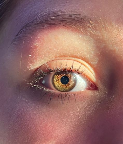 gold brown eyes Hazel Gold Eyes, Gold Hazel Eyes, Gold Brown Eyes, Eyes Hazel, Sign Drawing, Gold Eyes, Hazel Eyes, Brown Eyes, Brown Gold