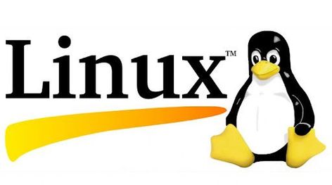 Linux is a family of open-source Unix-like operating systems based on the Linux kernel, an operating system kernel first released on September 17, 1991, by Linus Torvalds. Linux was originally developed for personal computers based on the Intel x86 architecture, but has since been ported to more platforms than any other operating system. Just like Windows, iOS, and Mac OS, Linux is an operating system; Android, one of the most popular platforms, is powered by the Linux operating system. Linux Shell, Linux Operating System, Linux Kernel, Reading Data, Phone Plans, Music App, Ecommerce Solutions, Web Hosting Services, Operating System