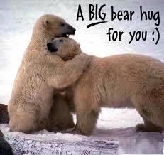 A big bear hug for you. #Funny #Hug #picturequotes  View more #quotes on http://quotes-lover.com National Hug Day, We Are Bears, Hug Pictures, Hug Day, Happy Hug Day, Urs Polar, Hug Quotes, Free Friends, Funny Bears