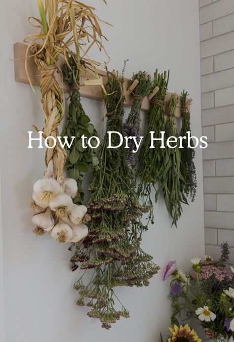 List Of Herbs, Herb Drying, Dry Herbs, Hanging Herbs, Harvesting Herbs, Traverse City Michigan, Making A Bouquet, Bee Balm, Work Diy