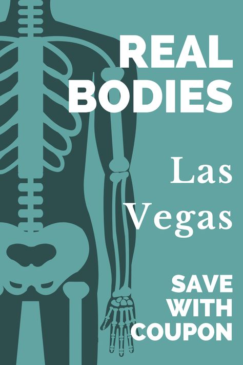 Real Bodies Las Vegas - Save with Coupon Human Body Exhibit, Horseshoe Las Vegas, Playground For Adults, Bodies Exhibit, Vegas Fashion, Las Vegas Fashion, Interesting Things To Do, Las Vegas Restaurants, Las Vegas Vacation