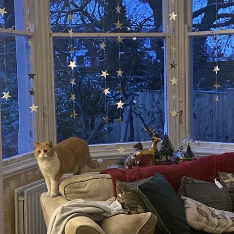 Two Cats, Dream Apartment, Christmas Mood, Winter Aesthetic, Samhain, Christmas Aesthetic, Cozy Christmas, My New Room, Winter Time