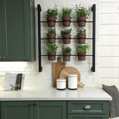 Apartment Herb Gardens, Living Wall Indoor, Fixer Upper Kitchen, Built In Pantry, Herb Garden In Kitchen, Hanging Herbs, Herbs Garden, Green Kitchen Cabinets, Kitchen Herbs