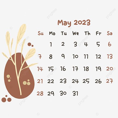 May Calendar 2023 Aesthetic, May Calander, Calendar 2023 May, Calendar May 2023, Calender 2023, Ipad Pics, Calendar Clipart, May Calendar, Calendar Png