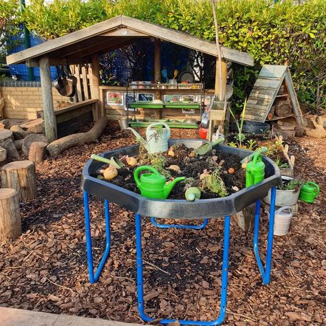 Shardi Vaziri - Early Years (@earlyyearsonashoestring) posted on Instagram: “Exploring root vegetables in the woodland area Lots of interesting conversations followed by free play #outdoorclassroom #forestschool…” • Apr 13, 2022 at 7:34pm UTC Forest School Areas, Forest School Set Up, Forest School Area, Early Years Outdoor Area, Forest Play, School Sets, Outdoor Classroom, Free Play, Forest School